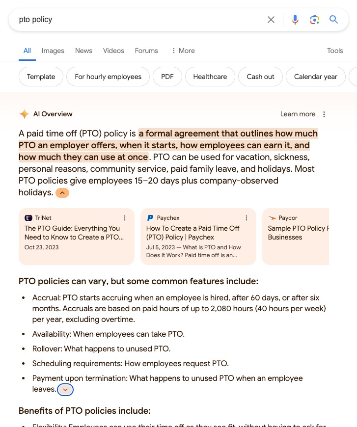 ai overview screenshot pto policy