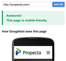Example of a mobile-friendly website test